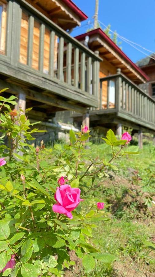 Pilita Bungalov&Rest Ayder Yaylasi Bagian luar foto