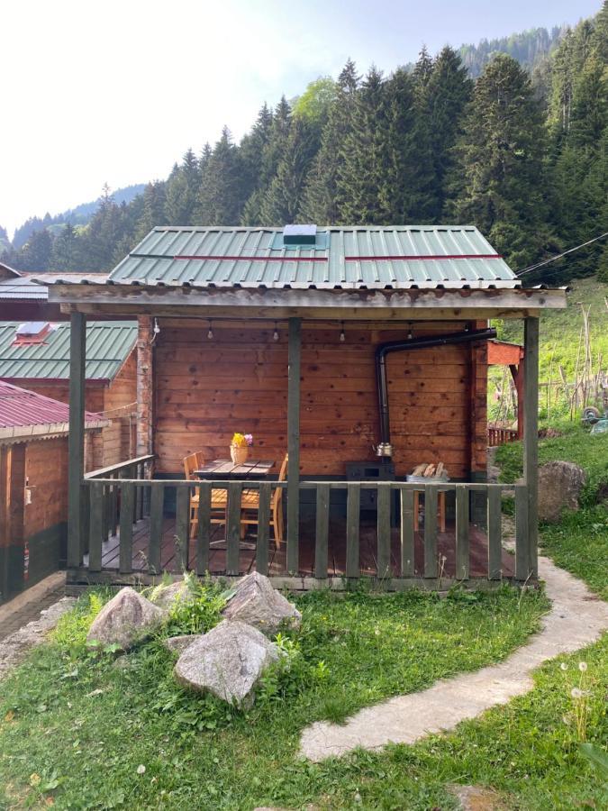 Pilita Bungalov&Rest Ayder Yaylasi Bagian luar foto