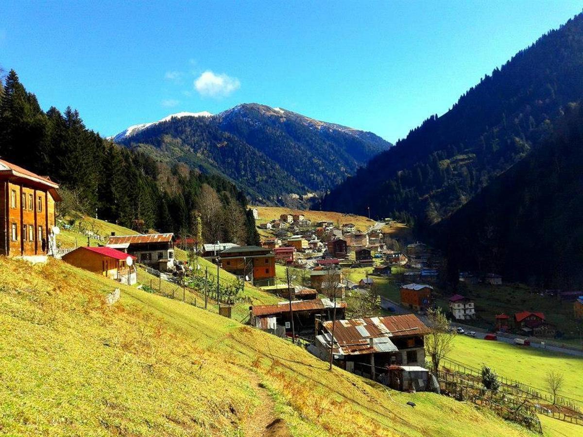 Pilita Bungalov&Rest Ayder Yaylasi Bagian luar foto